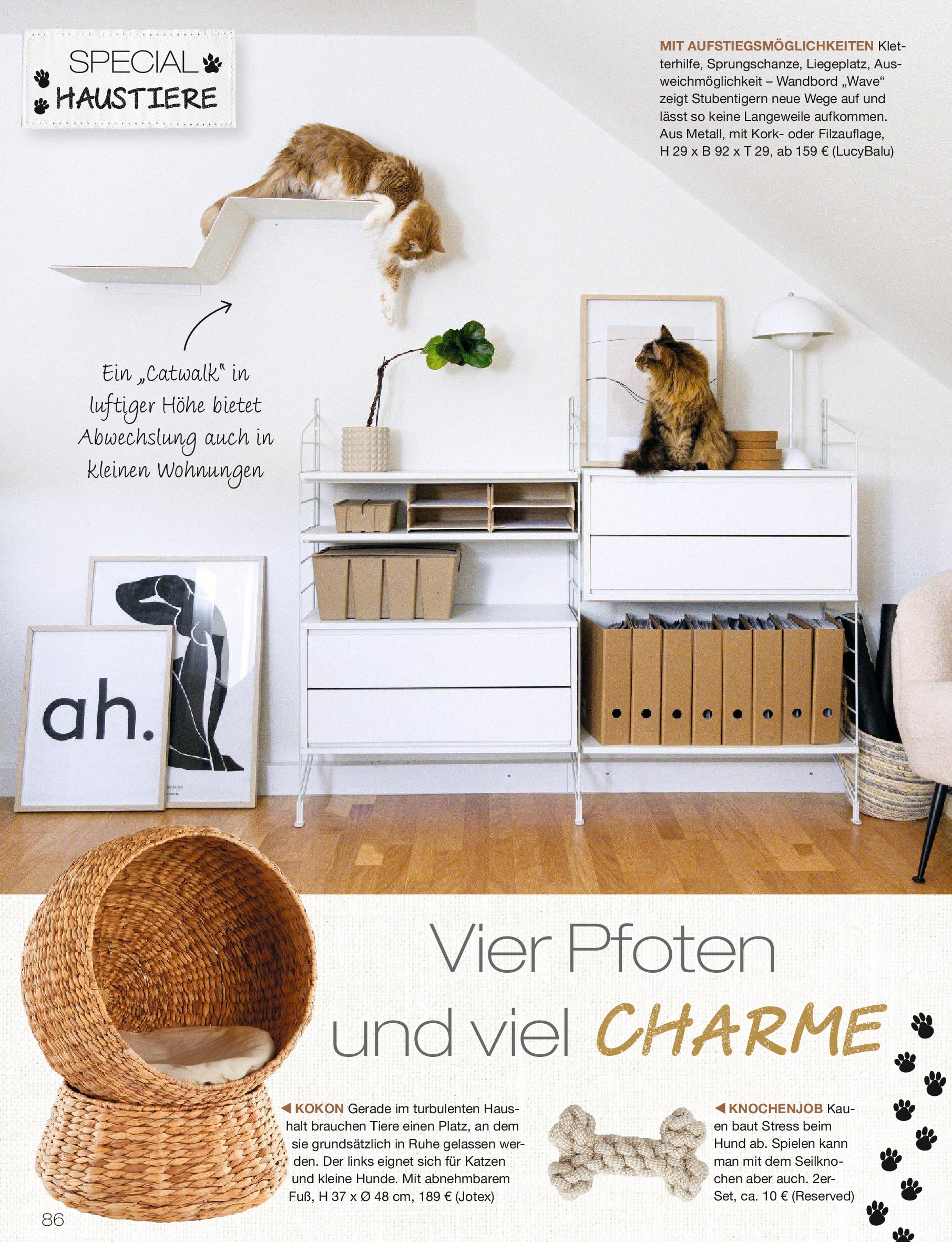 Artikelbild