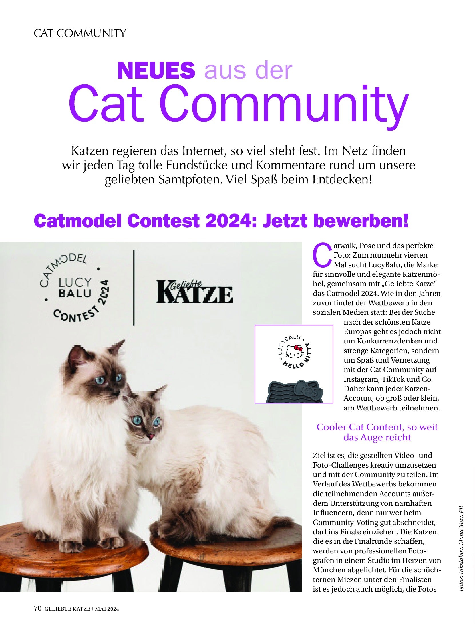 Geliebte Katze - April 2024