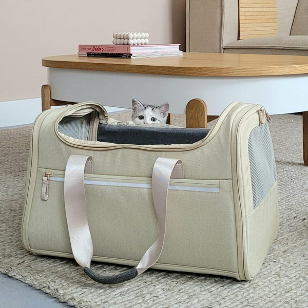 Mit Katze zum (ersten) Tierarztbesuch