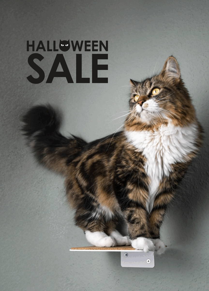 Halloween Sale Katzenmöbel von LucyBalu