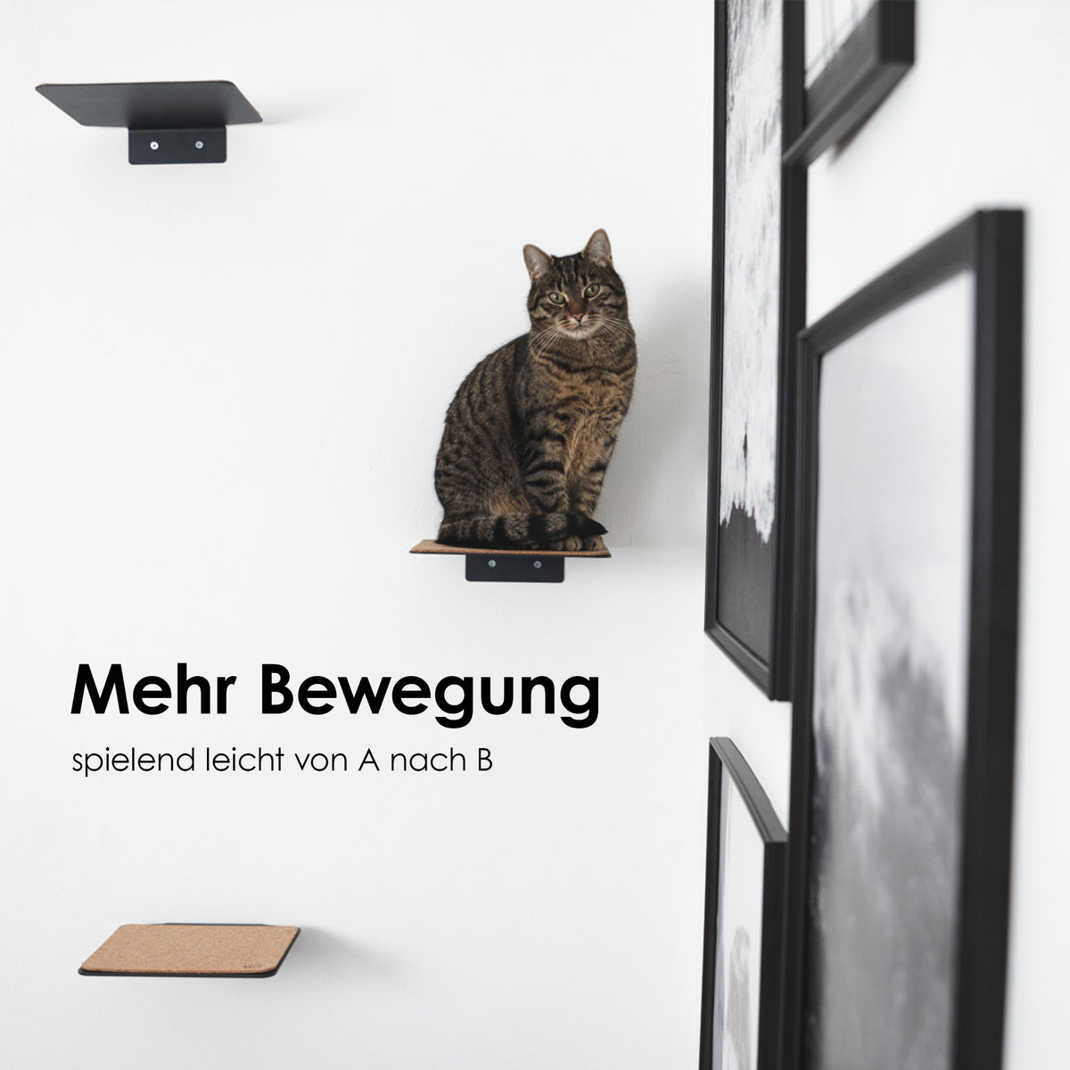 Große Katzenstufen für Katzentreppe Anthrazit