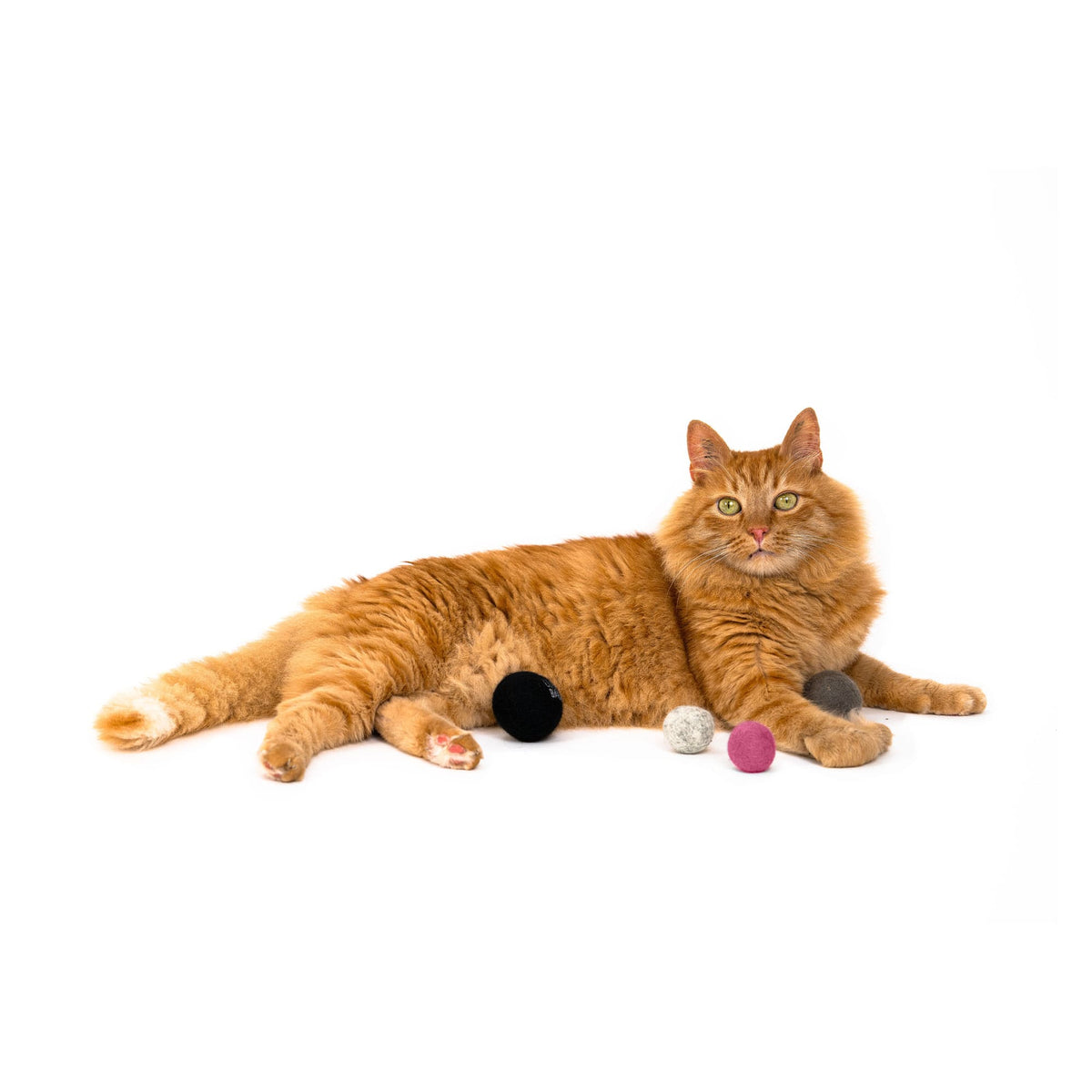 JOY BAG Vilten ballen voor katten