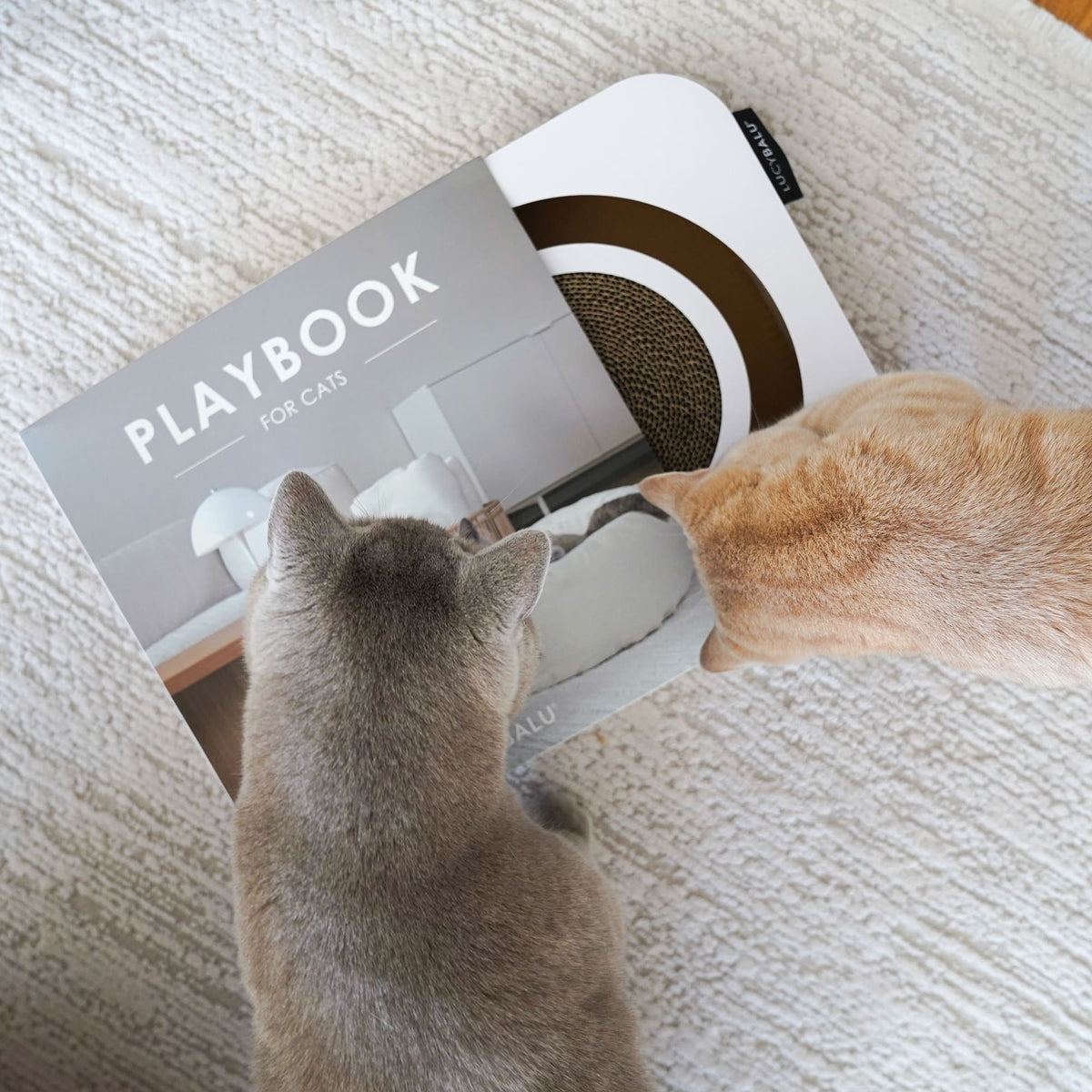 PLAYBOOK Interactief speelgoed