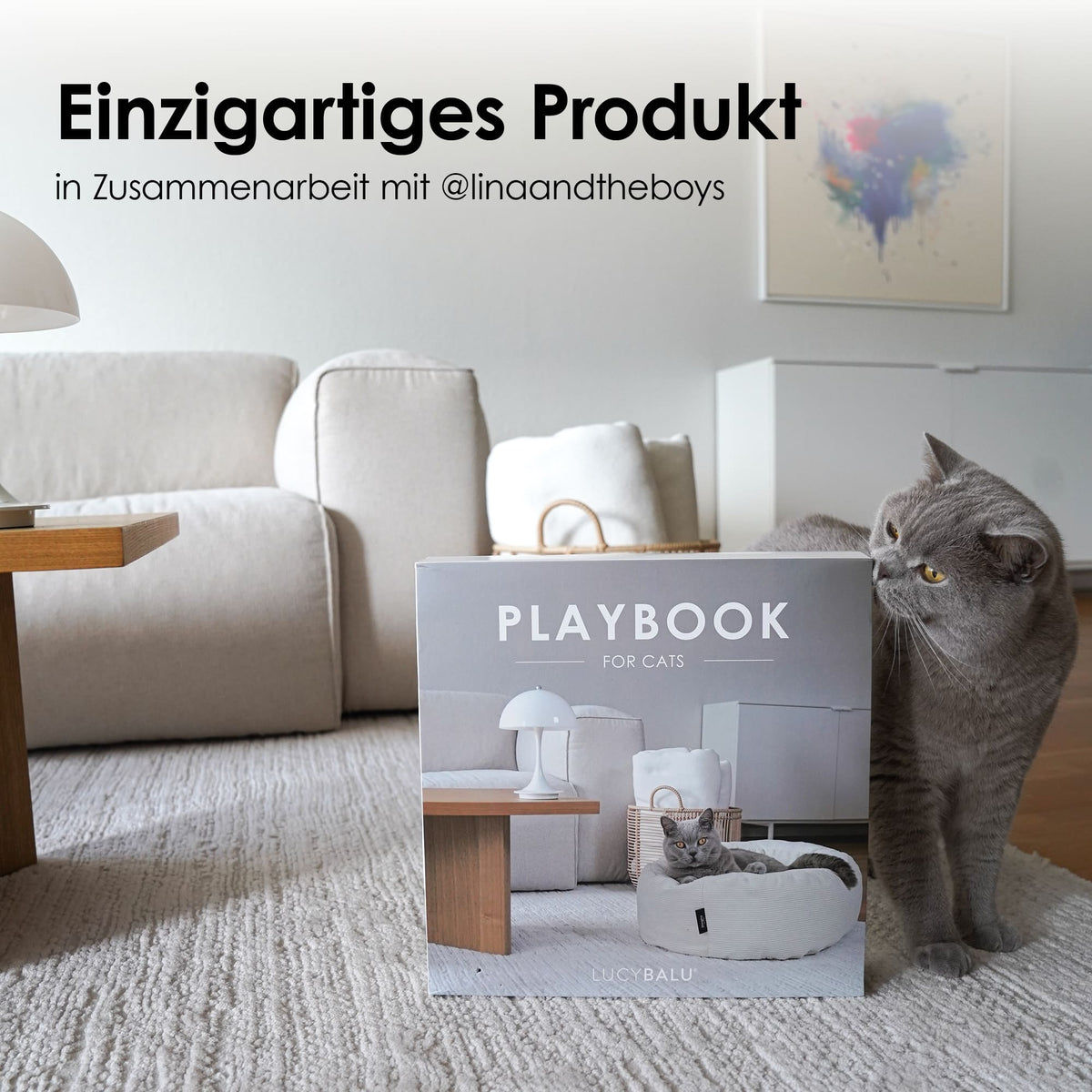 PLAYBOOK Interactief speelgoed