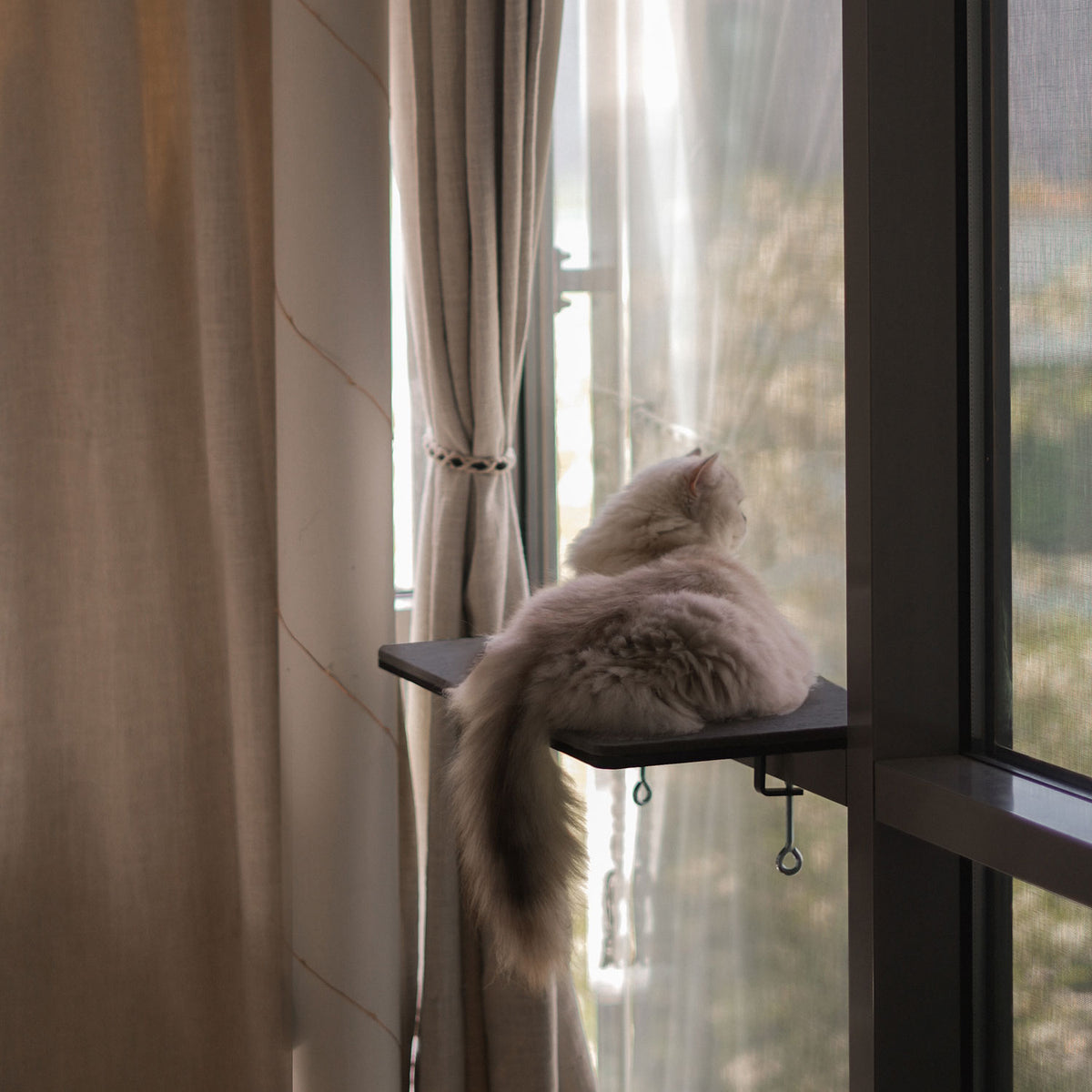 Katzen Fensterbankliege mit Filzauflage