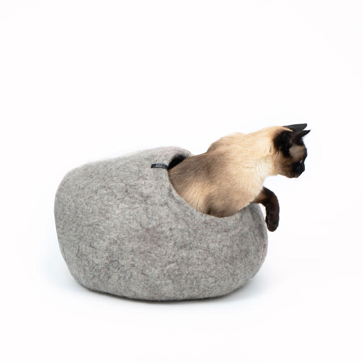 PEBBLE Viltgrot voor katten