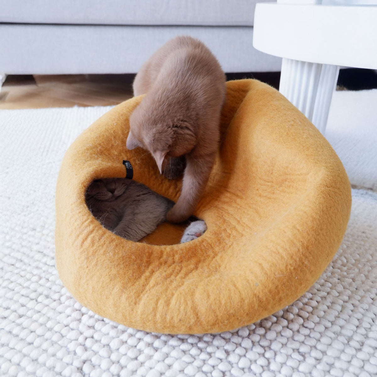PEBBLE Viltgrot voor katten