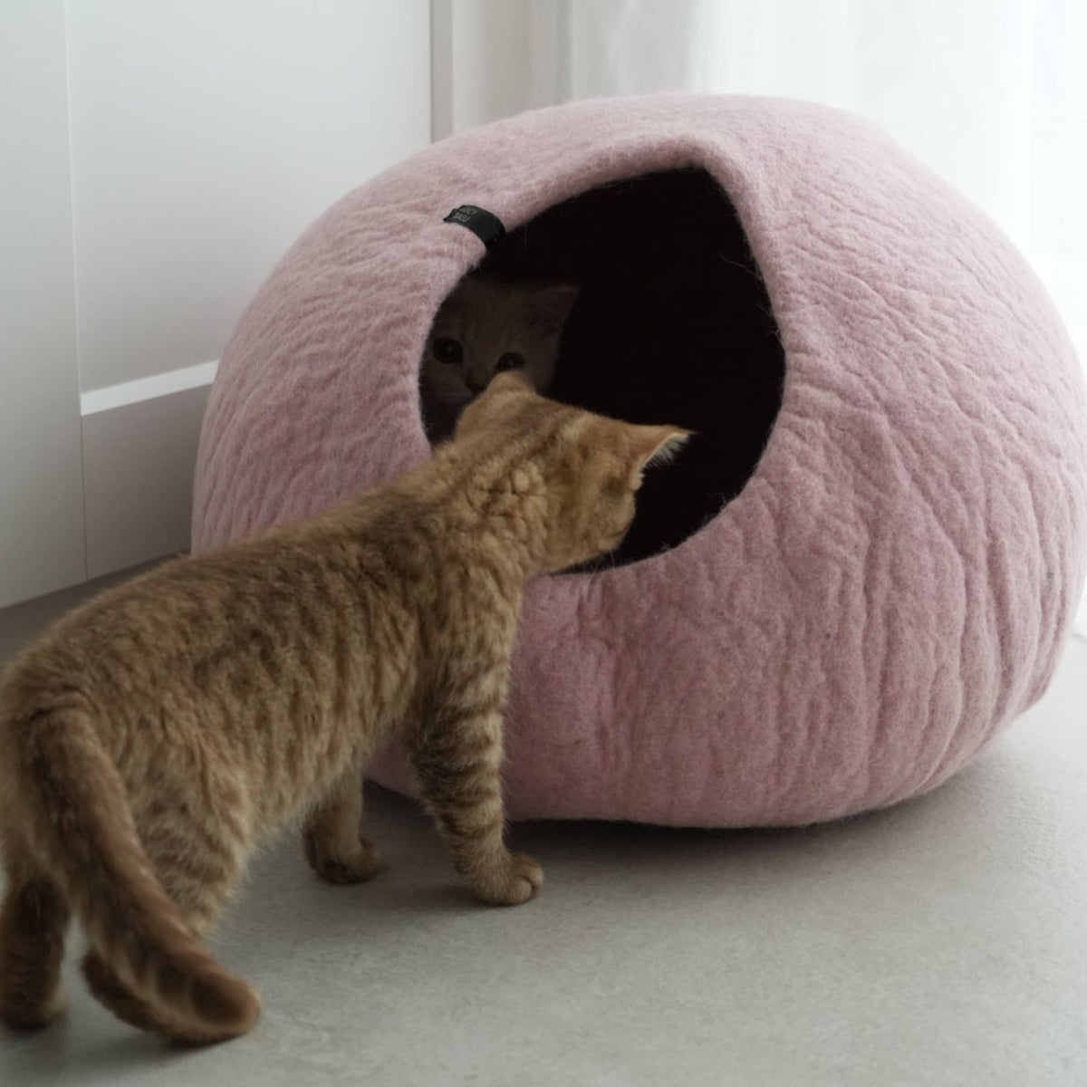 PEBBLE Viltgrot voor katten
