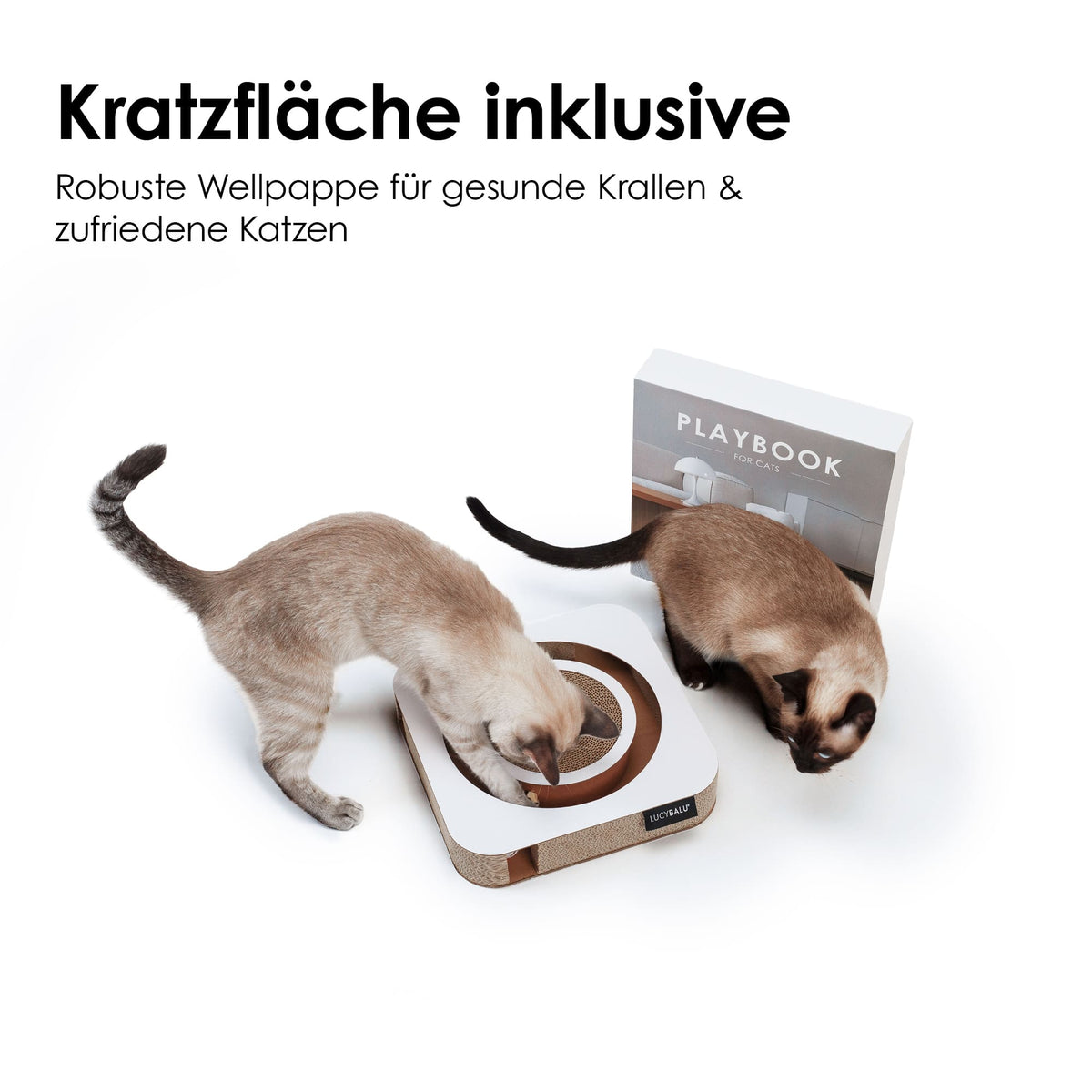 PLAYBOOK Interactief speelgoed