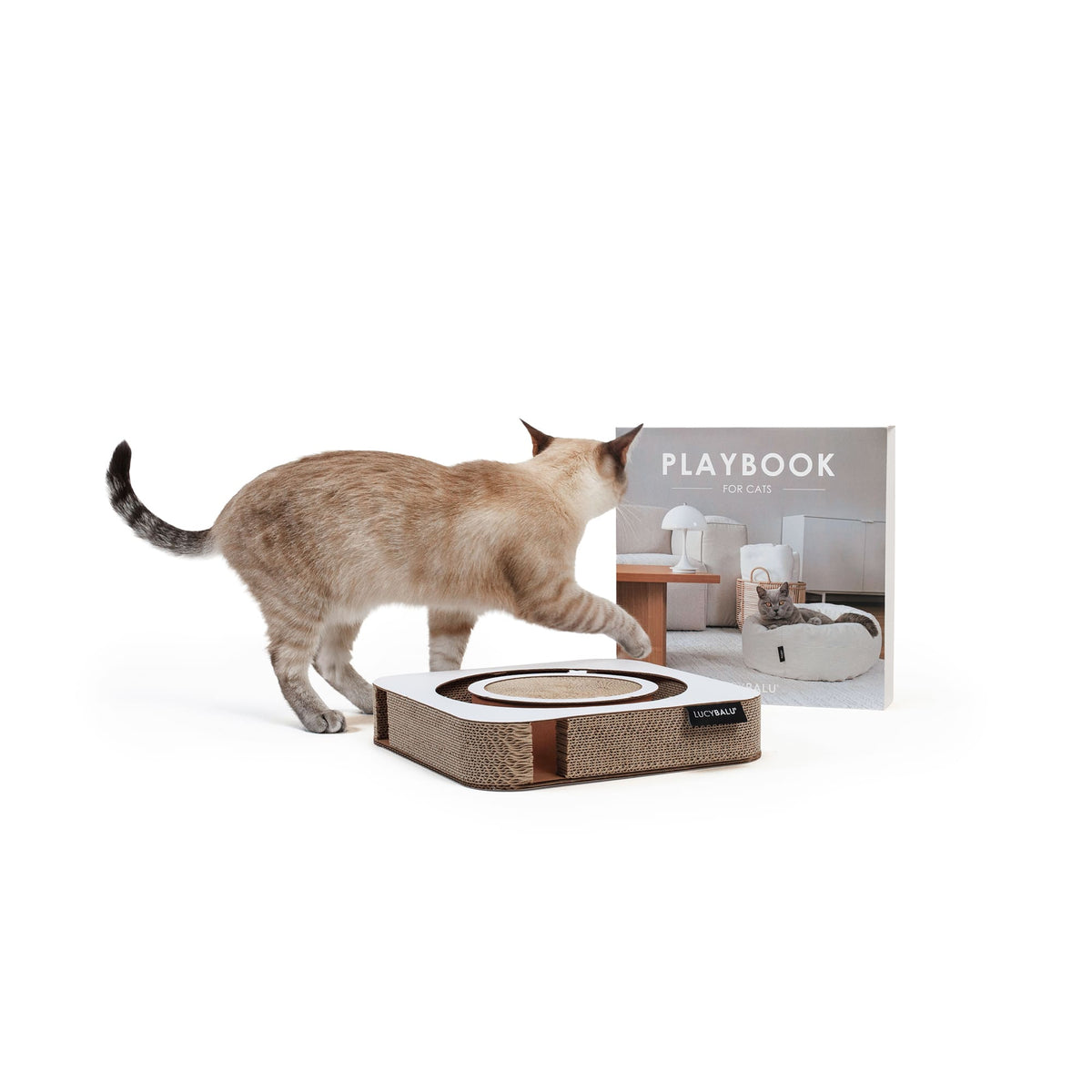 PLAYBOOK Interactief speelgoed
