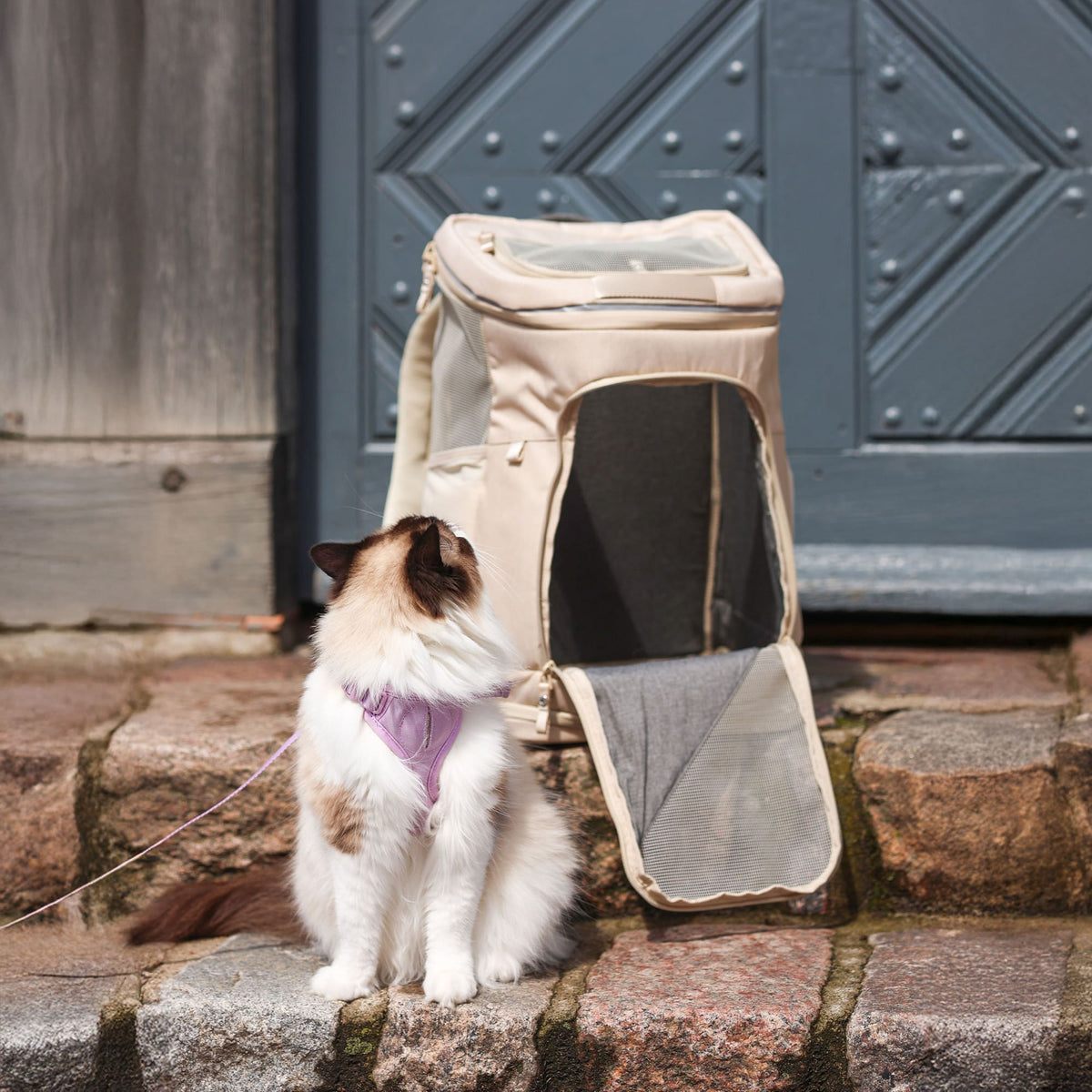 HOP-ON Kat rugzak