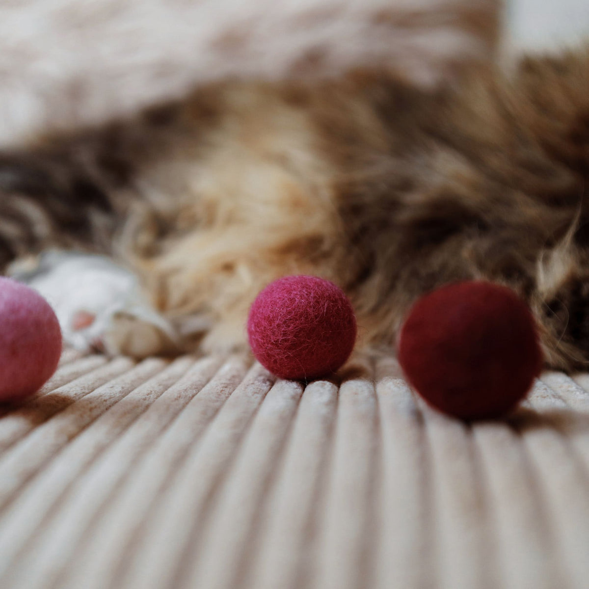 VIVA MAGENTA Viltballen voor katten Set van 6