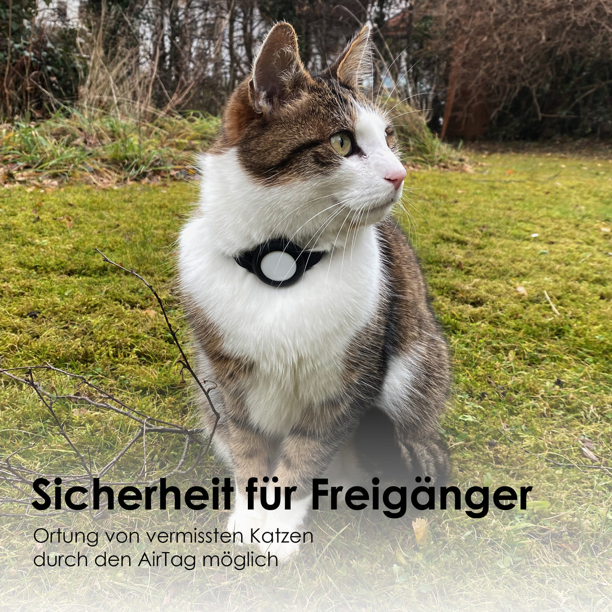 AirTag Halsband Freigänger Katze