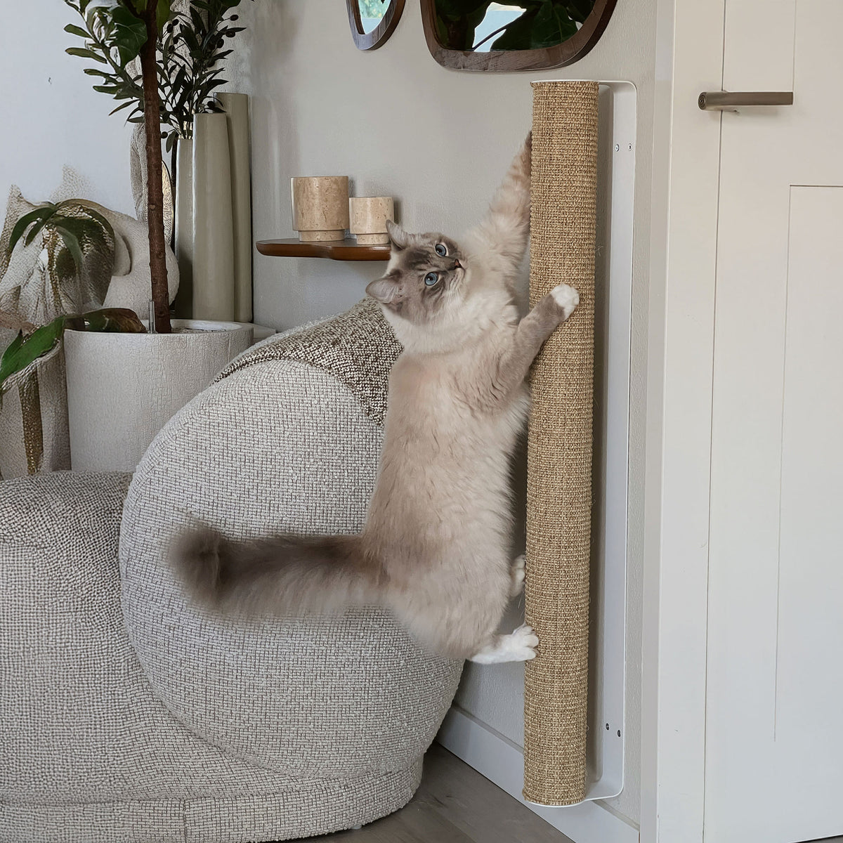 CATWALK Krabpaal