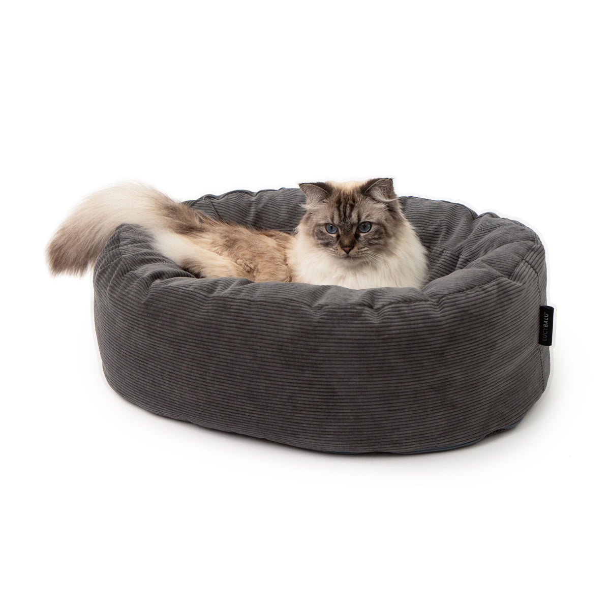 DINGHY Kattenbed