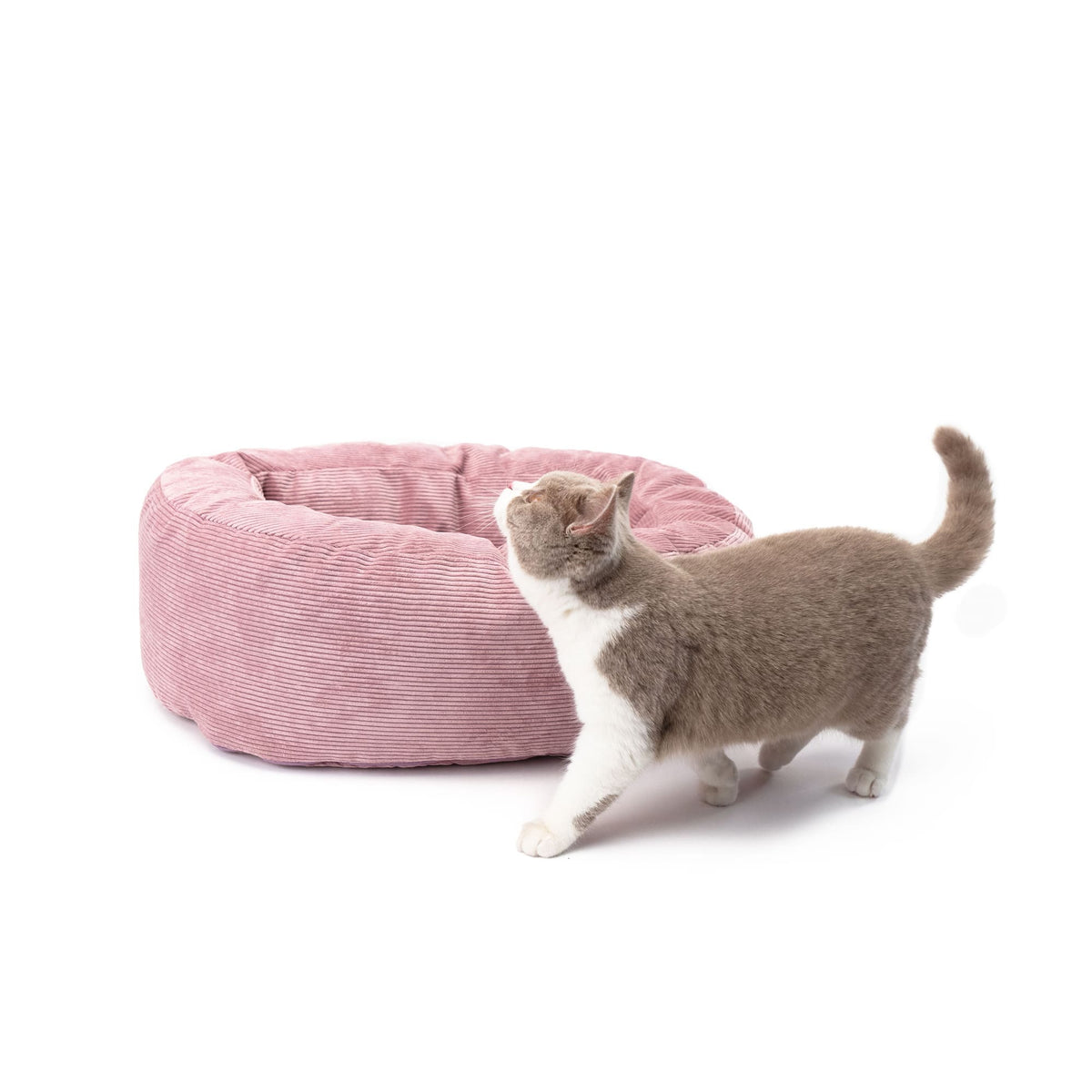 Katzenbett in rosa