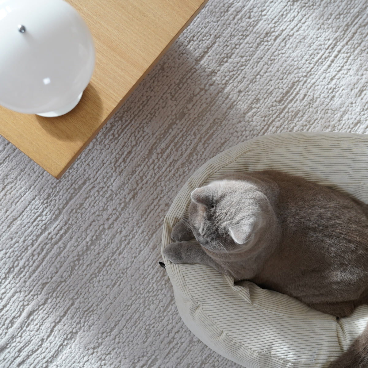 DINGHY Kattenbed