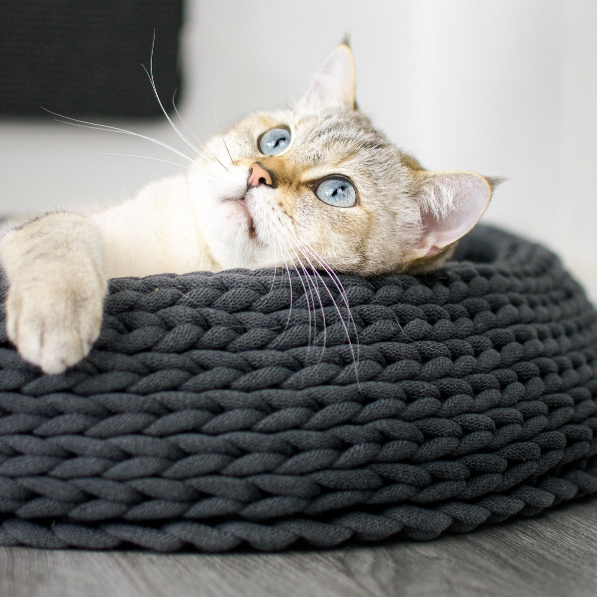 B-Ware: BASKET Katzenbett