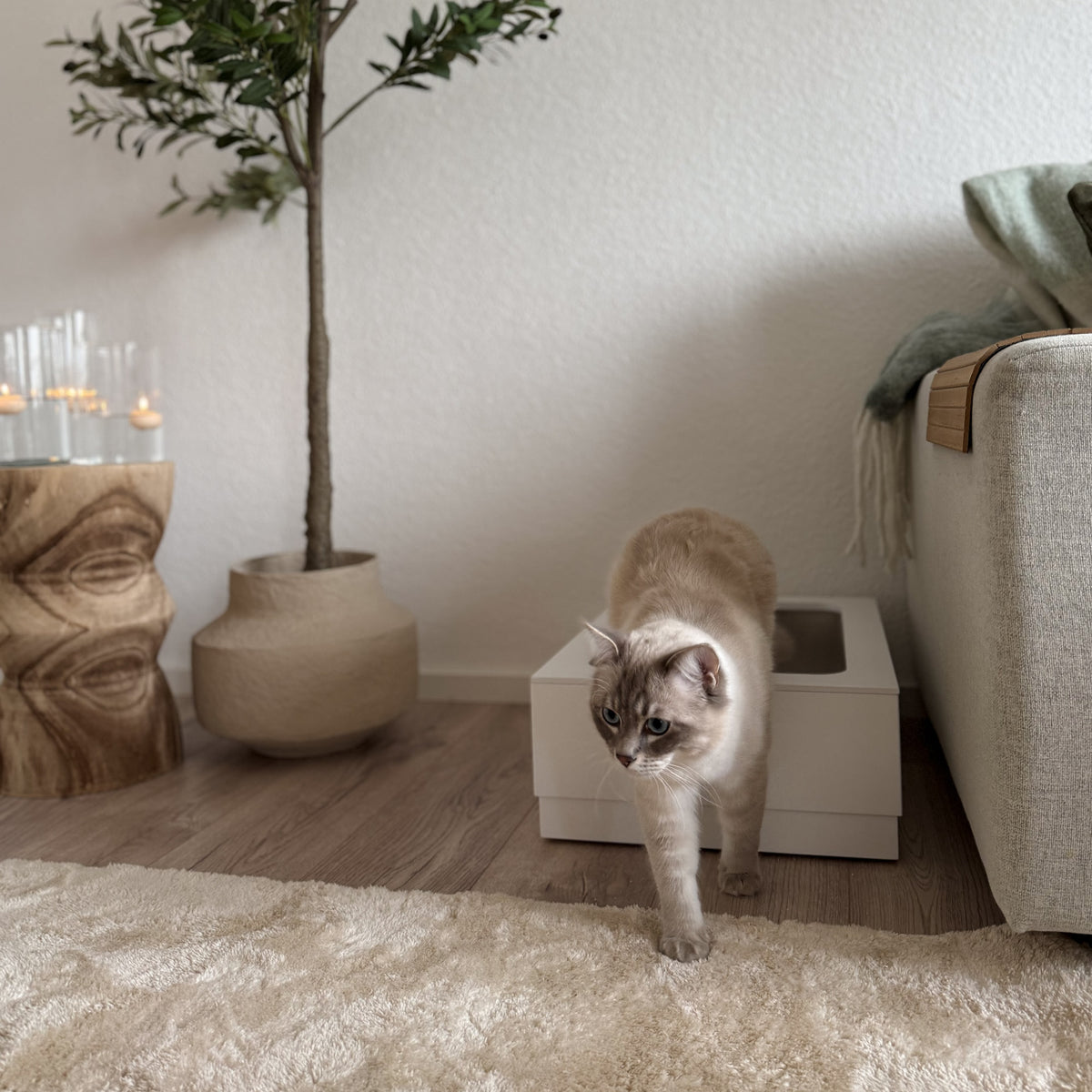 LOOLOO Kattenbak | RVS met een houten rand