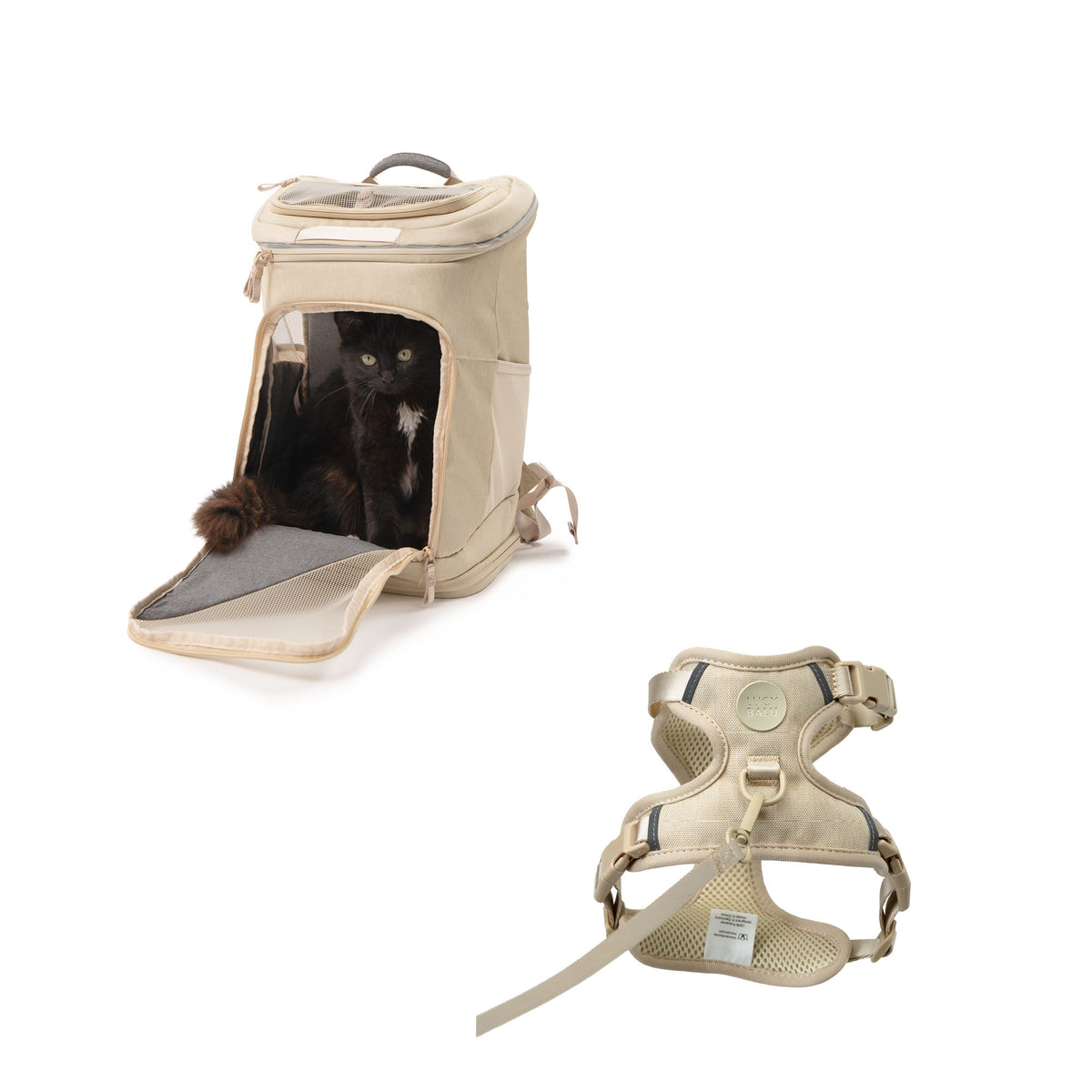 katzenrucksack katzengeschirr leine sand sand