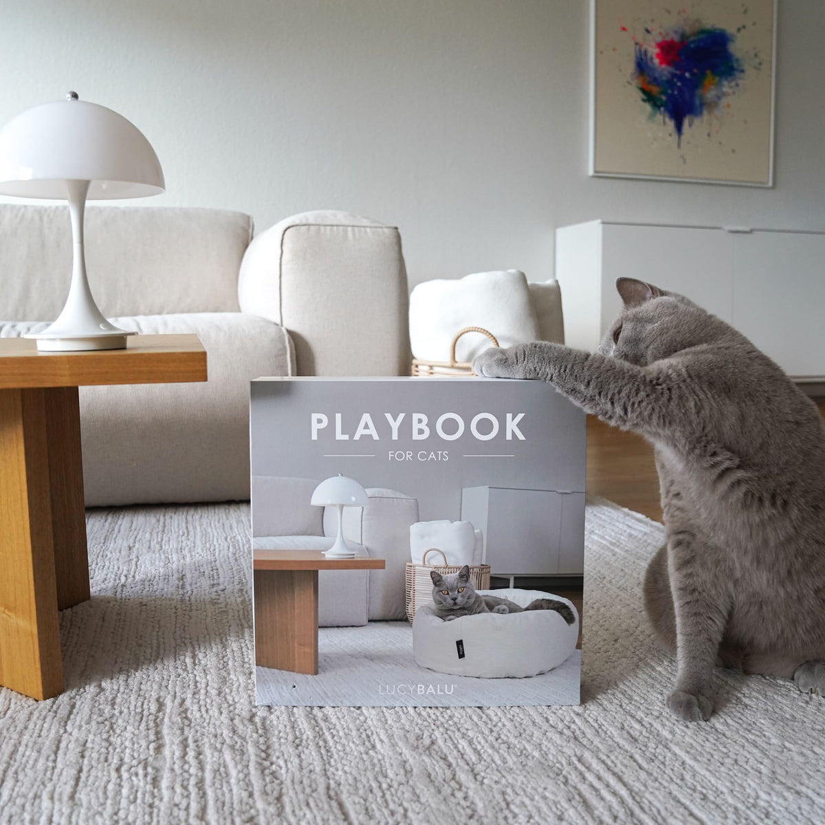 PLAYBOOK Interactief speelgoed