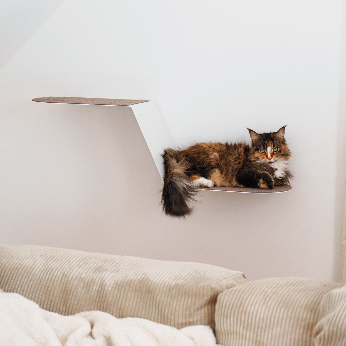 WAVE Cat step XXL