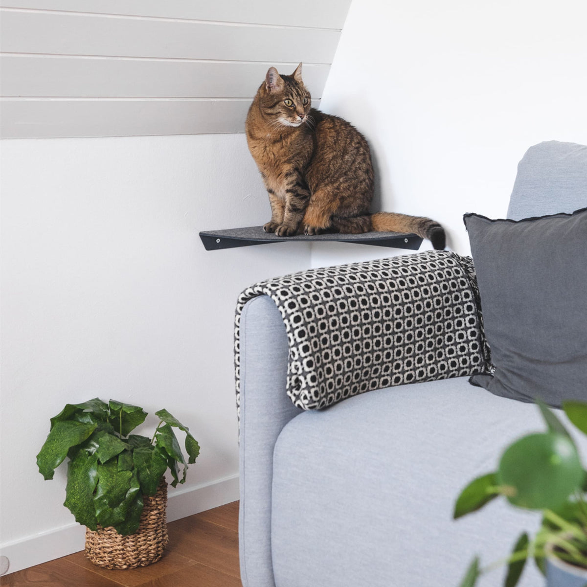 CORNER Kattenligstoel &amp; Klimtrap voor de hoek