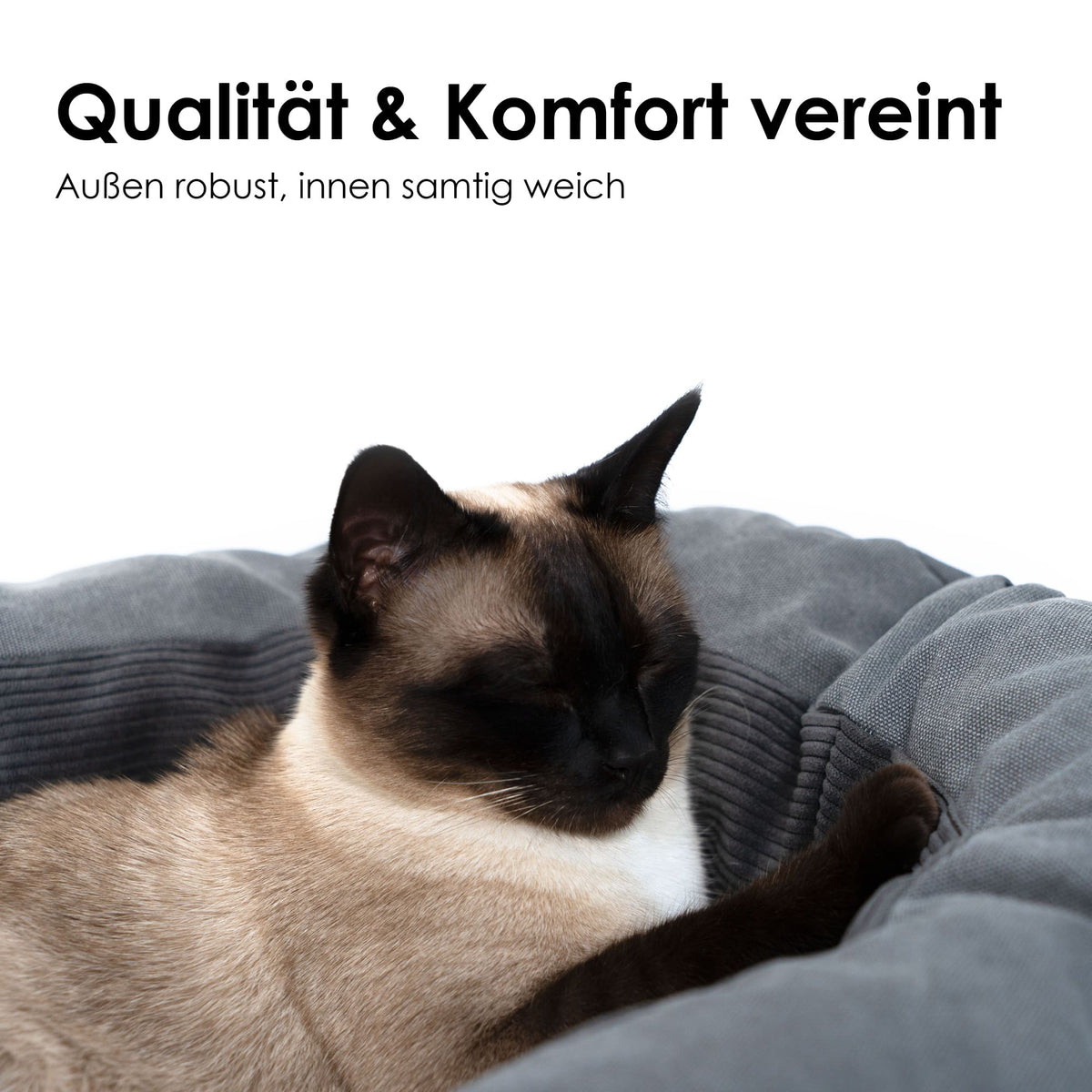 DINGHY Kattenbed