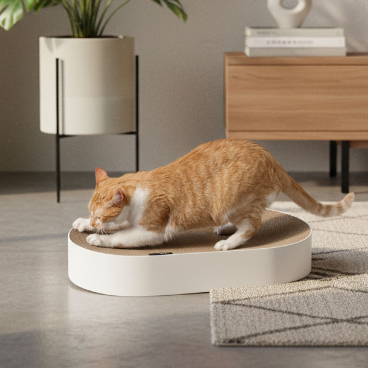 SCRATCHBED - Design kartonnen bed