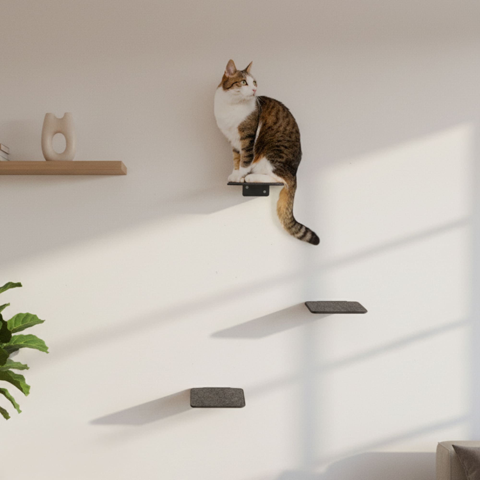 STEPS Kattentrappen