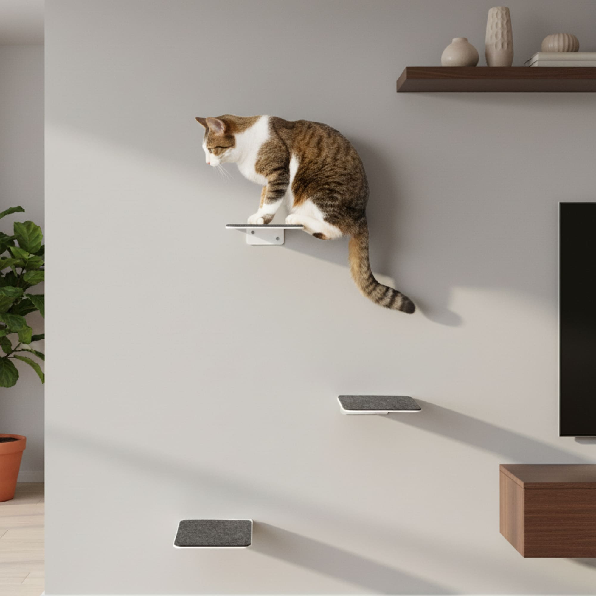 STEPS Kattentrappen