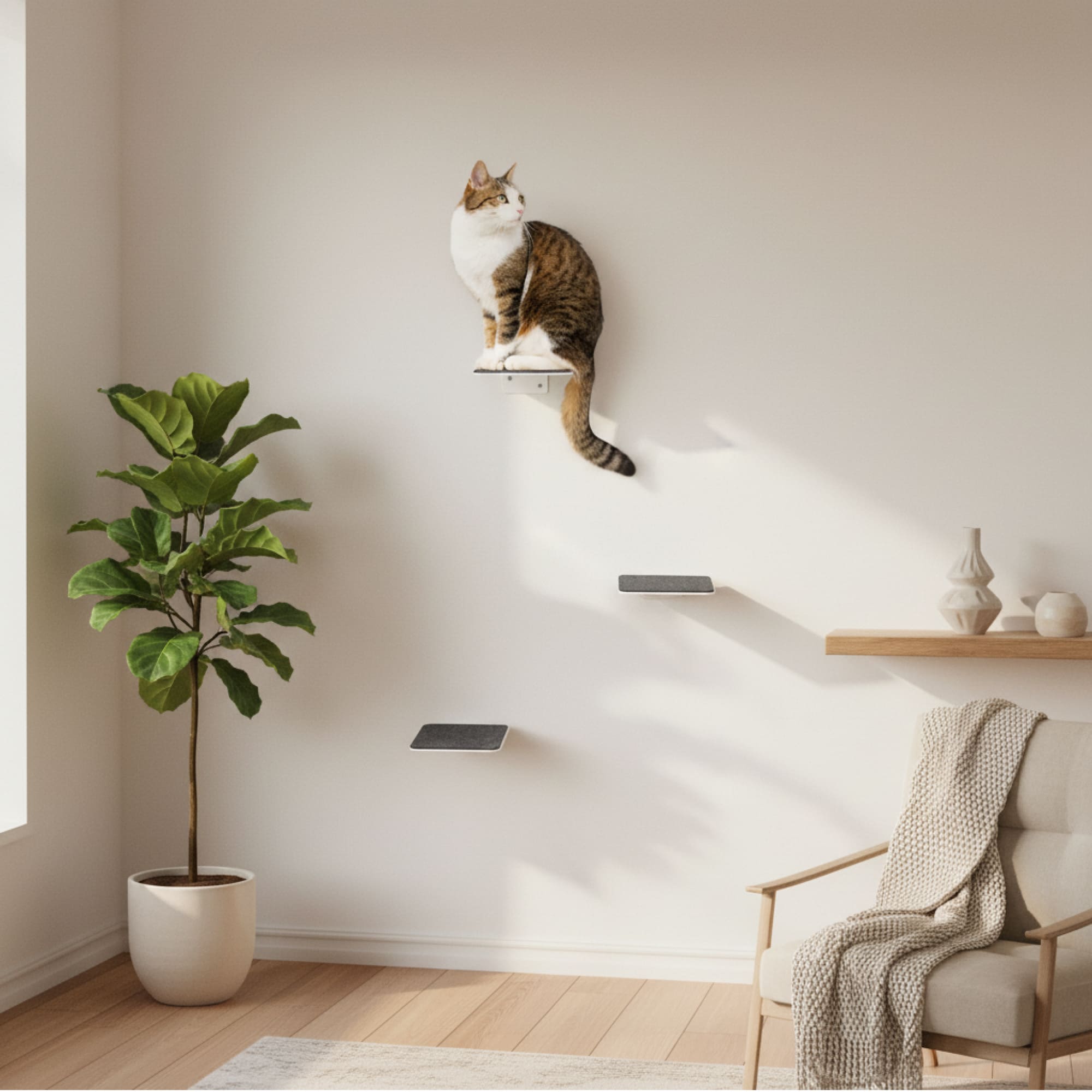 STEPS Kattentrappen