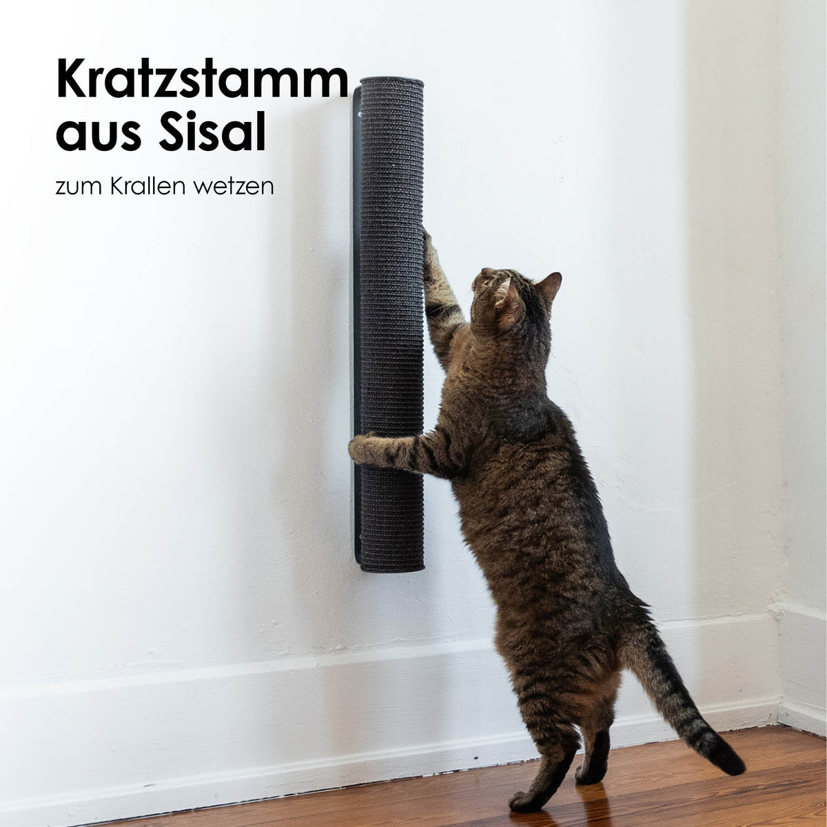 Kratzstamm aus Sisal