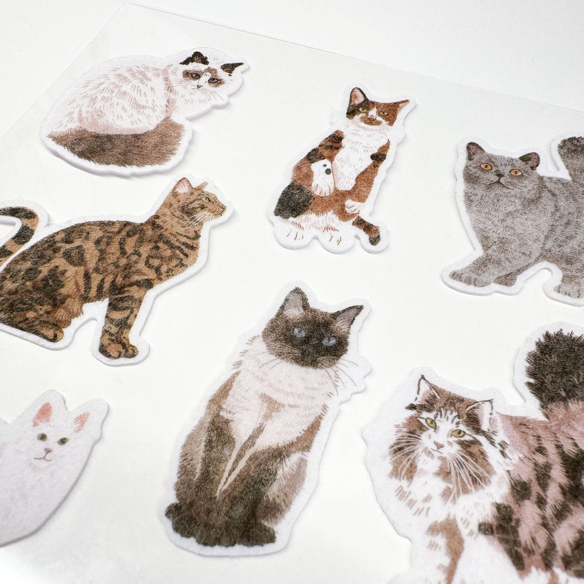 STICKY CATS vilten stickers