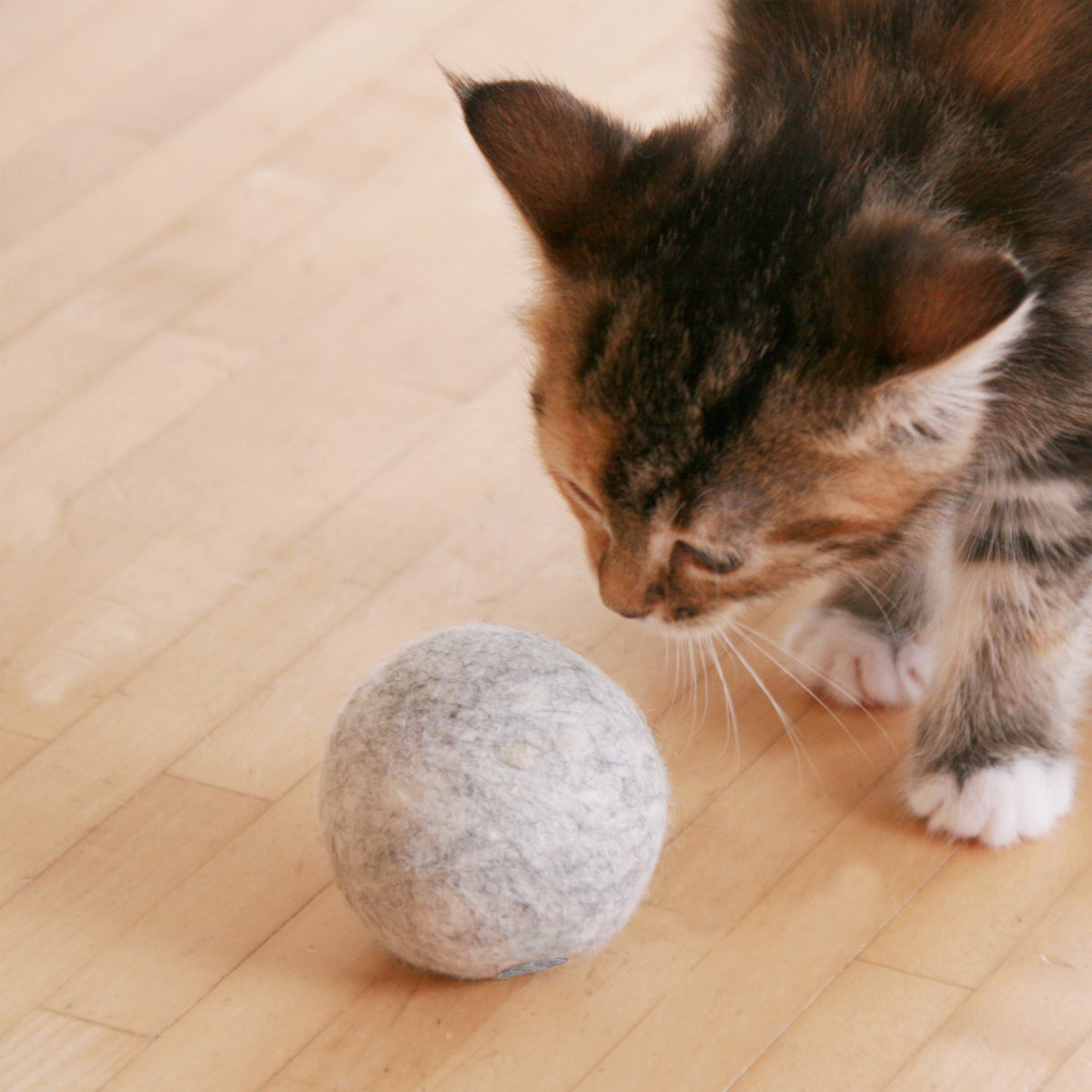 Filzball mit Katzenminze - LucyBalu